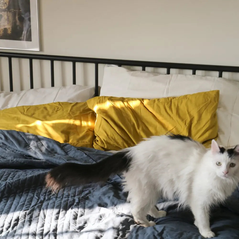 Linen + Bamboo Quilted Coverlet