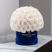Classic Royal Blue Suede Superdome Box | White Roses