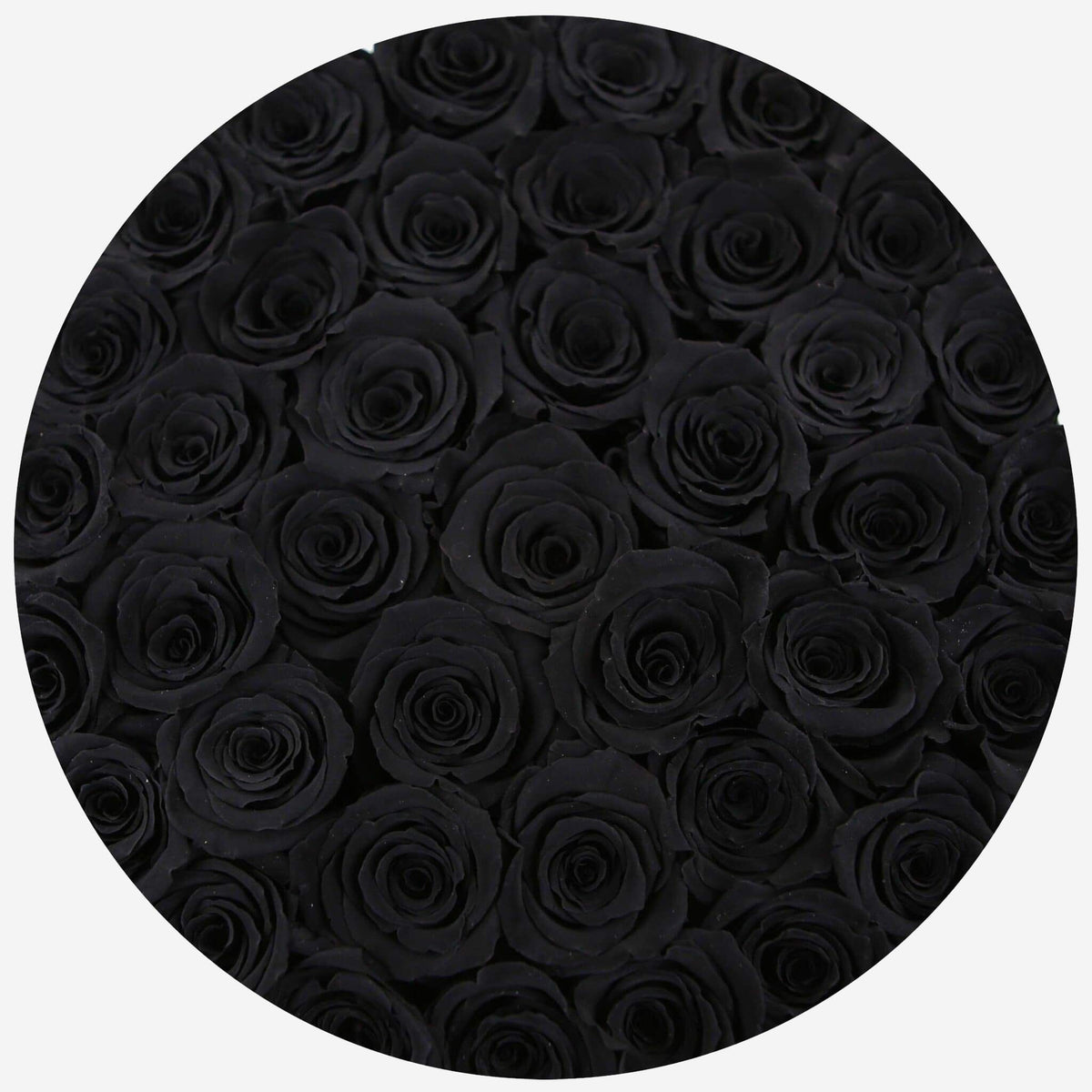 Supreme Gold Box | Black Roses