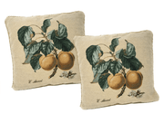 Set of 2 Yellow Apricot Fruits Throw Pillow Covers w/ Inserts