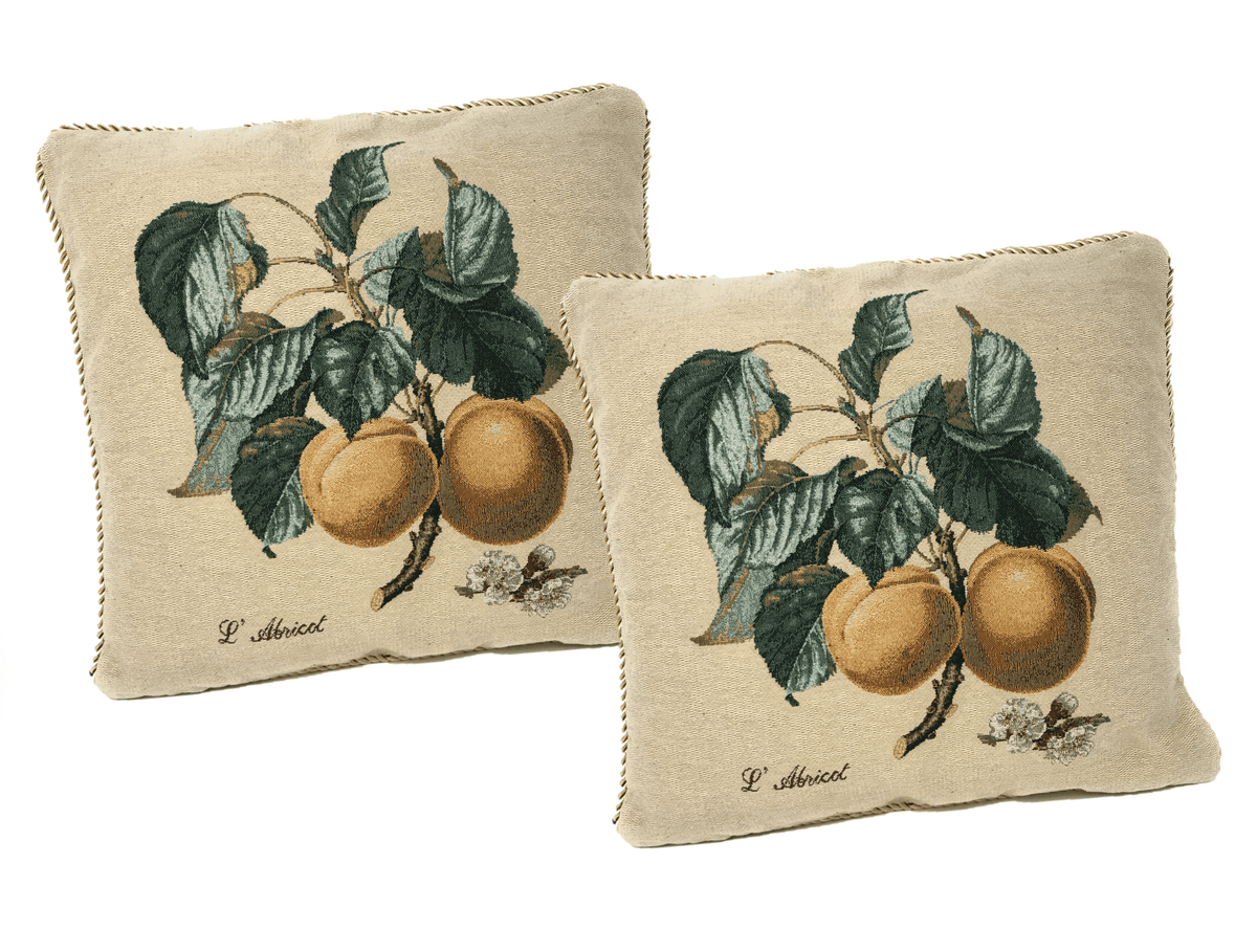 Set of 2 Yellow Apricot Fruits Throw Pillow Covers w/ Inserts