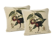 Set of 2, Nectarine Fruits Garden Throw Pillow Covers w/ Inserts