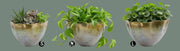 Wavy Aluminum Planter, 3 Size Options