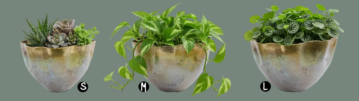 Wavy Aluminum Planter, 3 Size Options