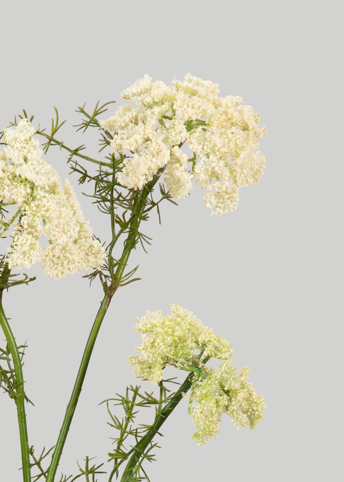 Artificial Dill Wildflower Branch - 33"