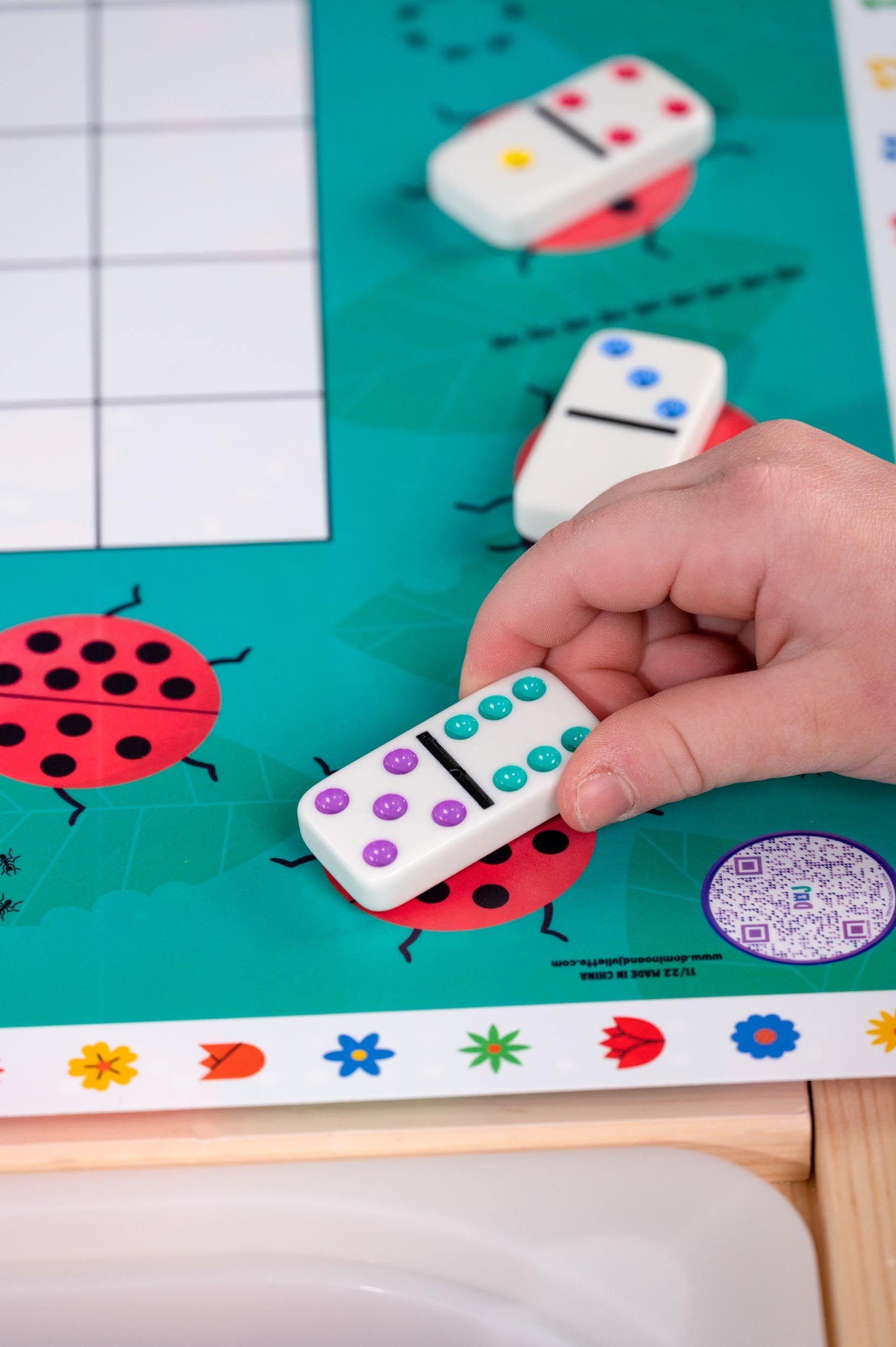 Dominos Set