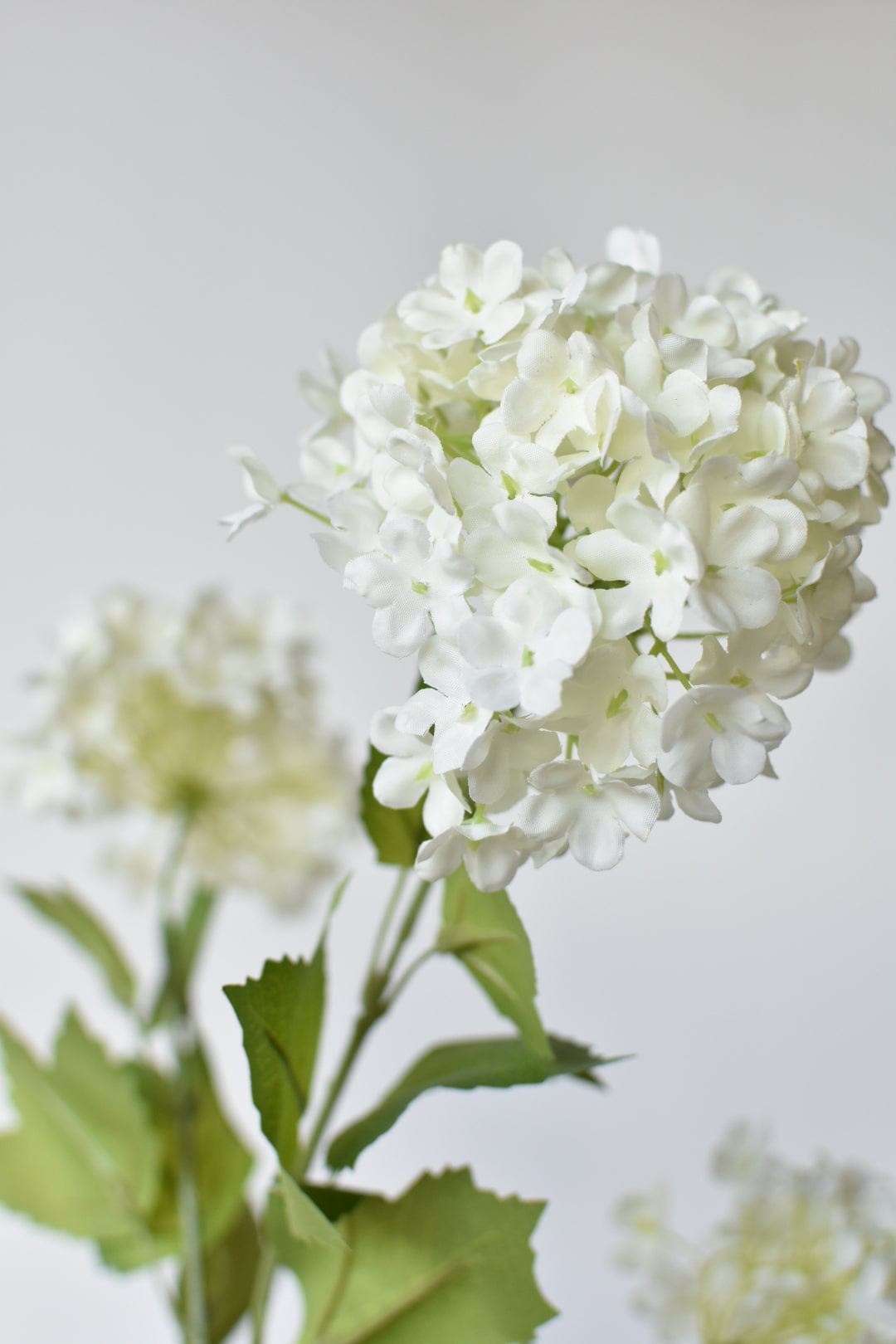 Faux Flowers