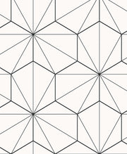 Hedron Geometric Unpasted Wallpaper