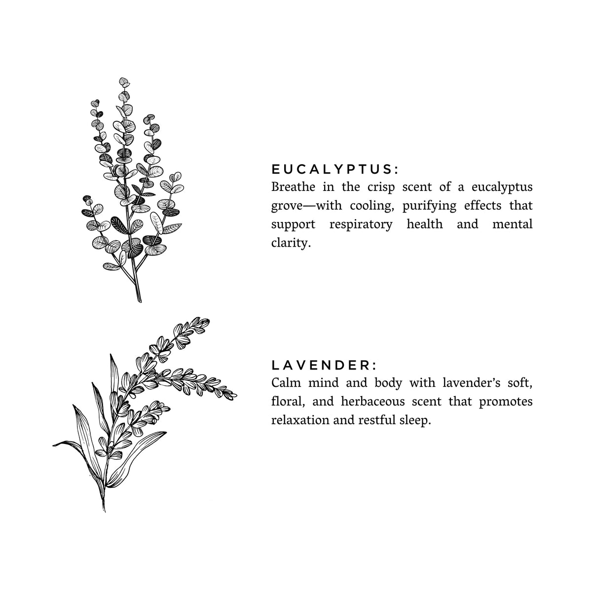 Eucalyptus + Lavender - Signature Candle