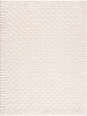Leryn Ivory Checkered Area Rug
