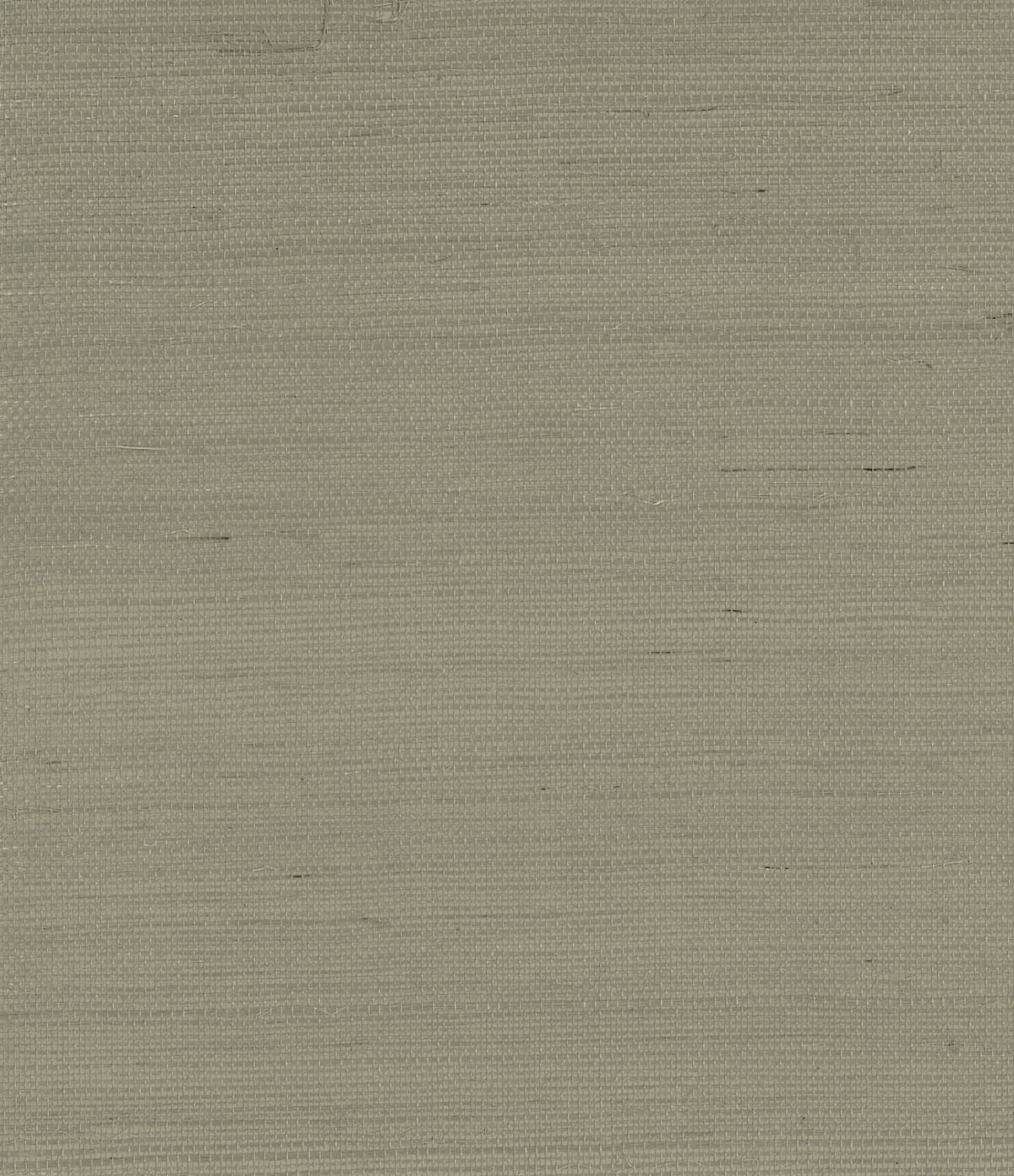Oak Mist Sisal Grasscloth Unpasted Wallpaper