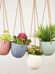 Virago Modern Hanging Planter - Waves