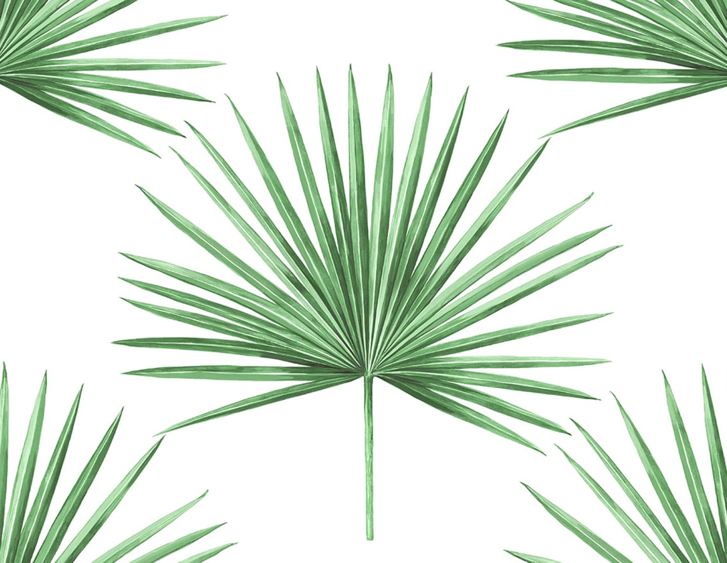 Pacific Palm Peel and Stick Removable Wallpaper