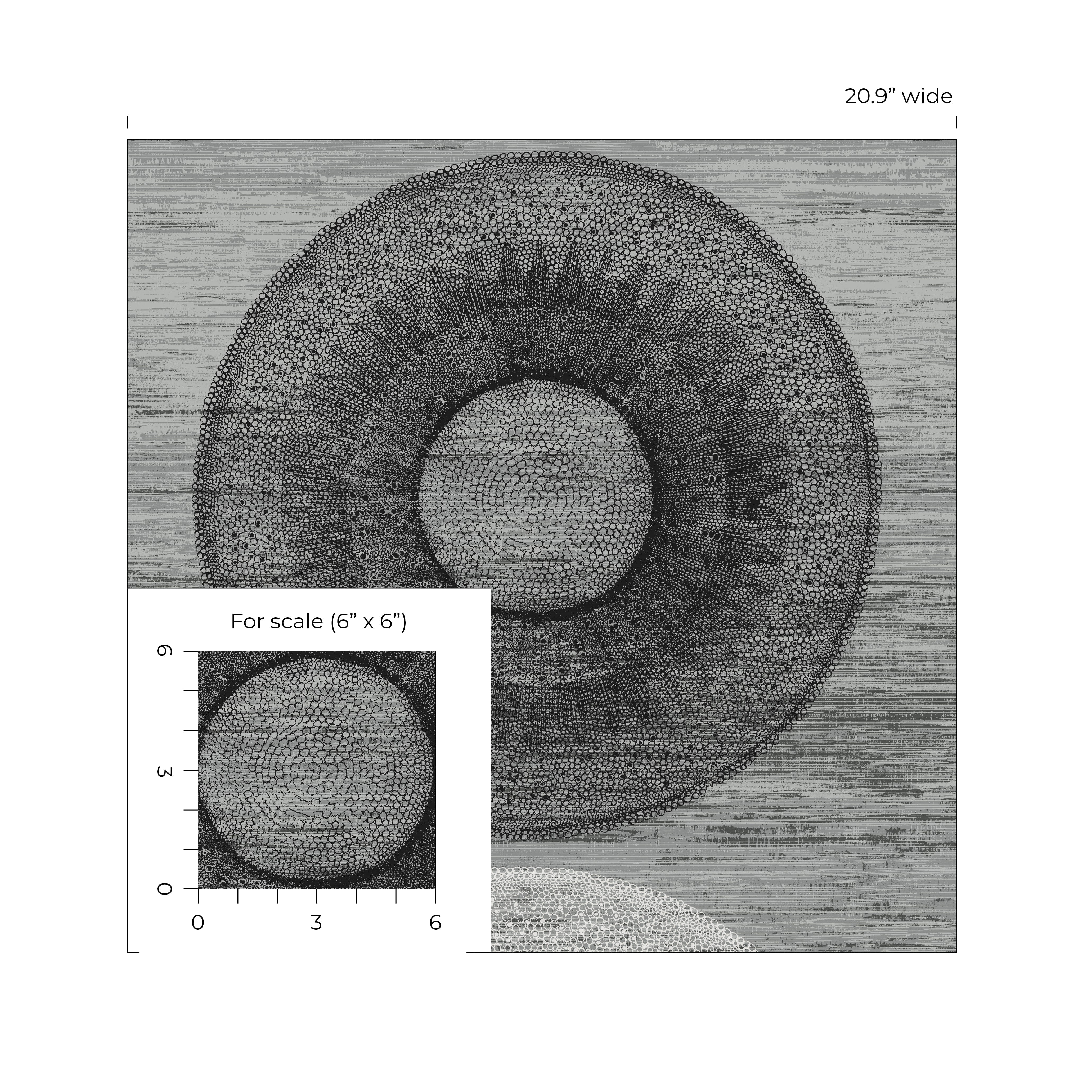 Large Circle Geometric Peel and Stick Removable Wallpaper