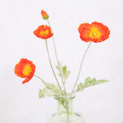 Flame Poppy Spray Stem