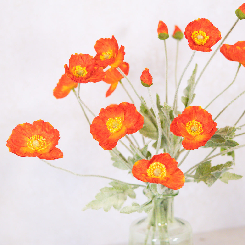 Flame Poppy Spray Stem