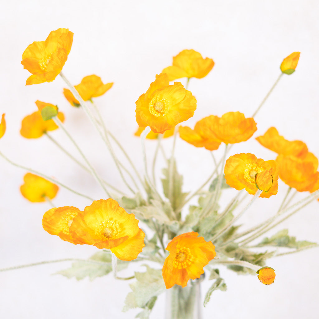 Bright Orange Poppy Spray Stem