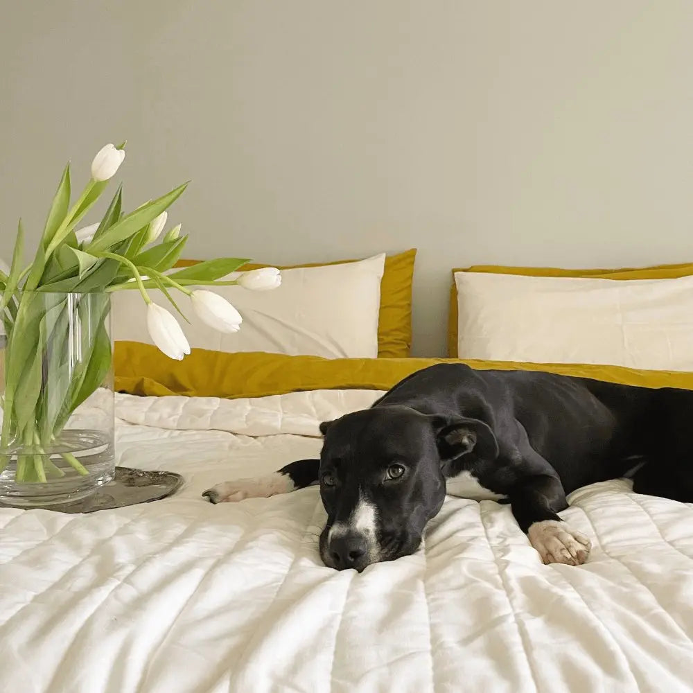 Linen + Bamboo Quilted Coverlet