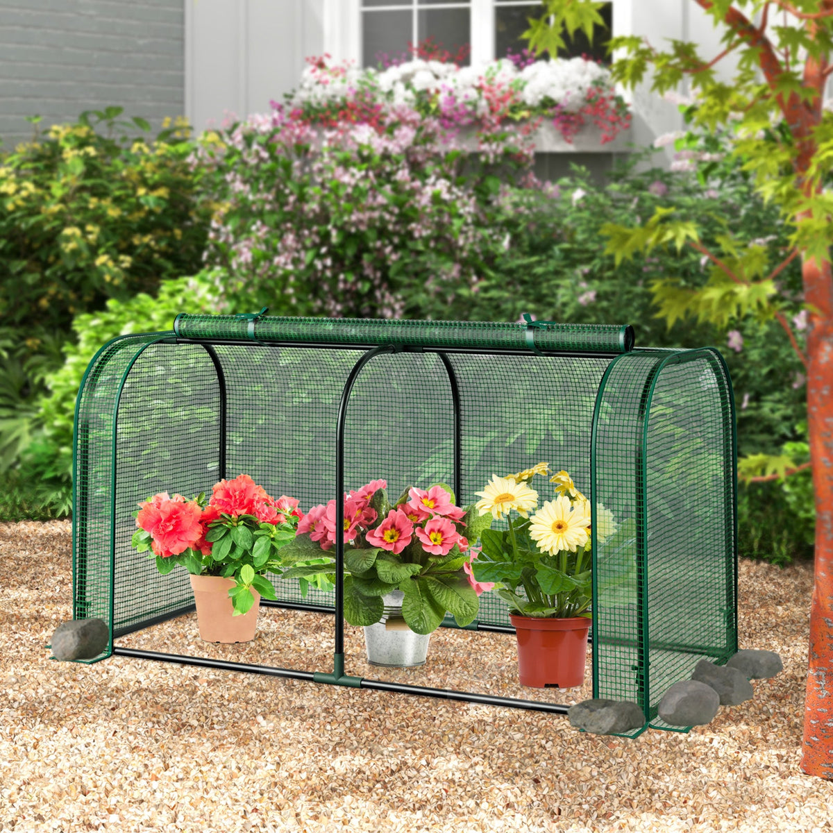 Greenhouses