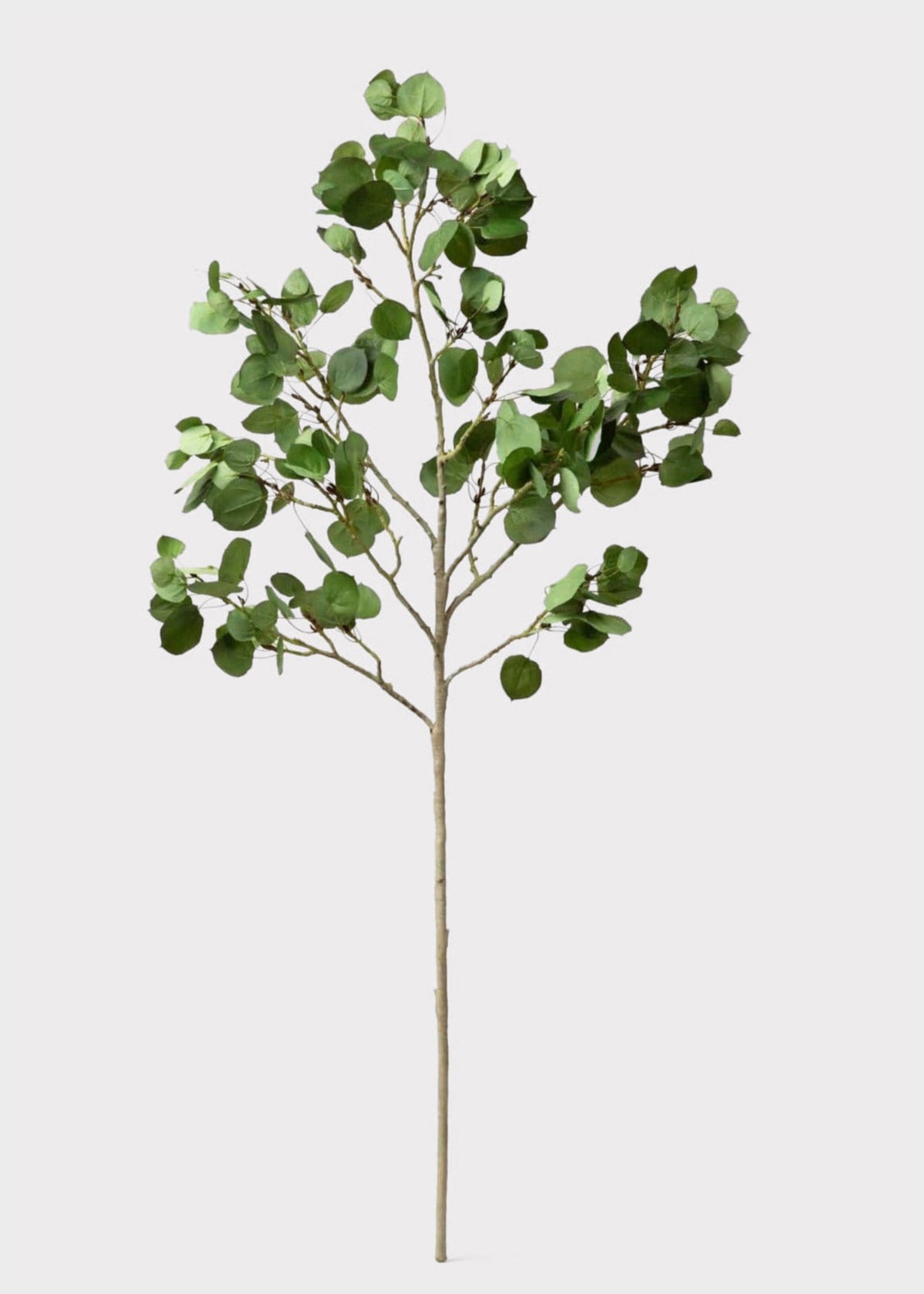 Premium Tall Artificial Aspen Branch - 51"