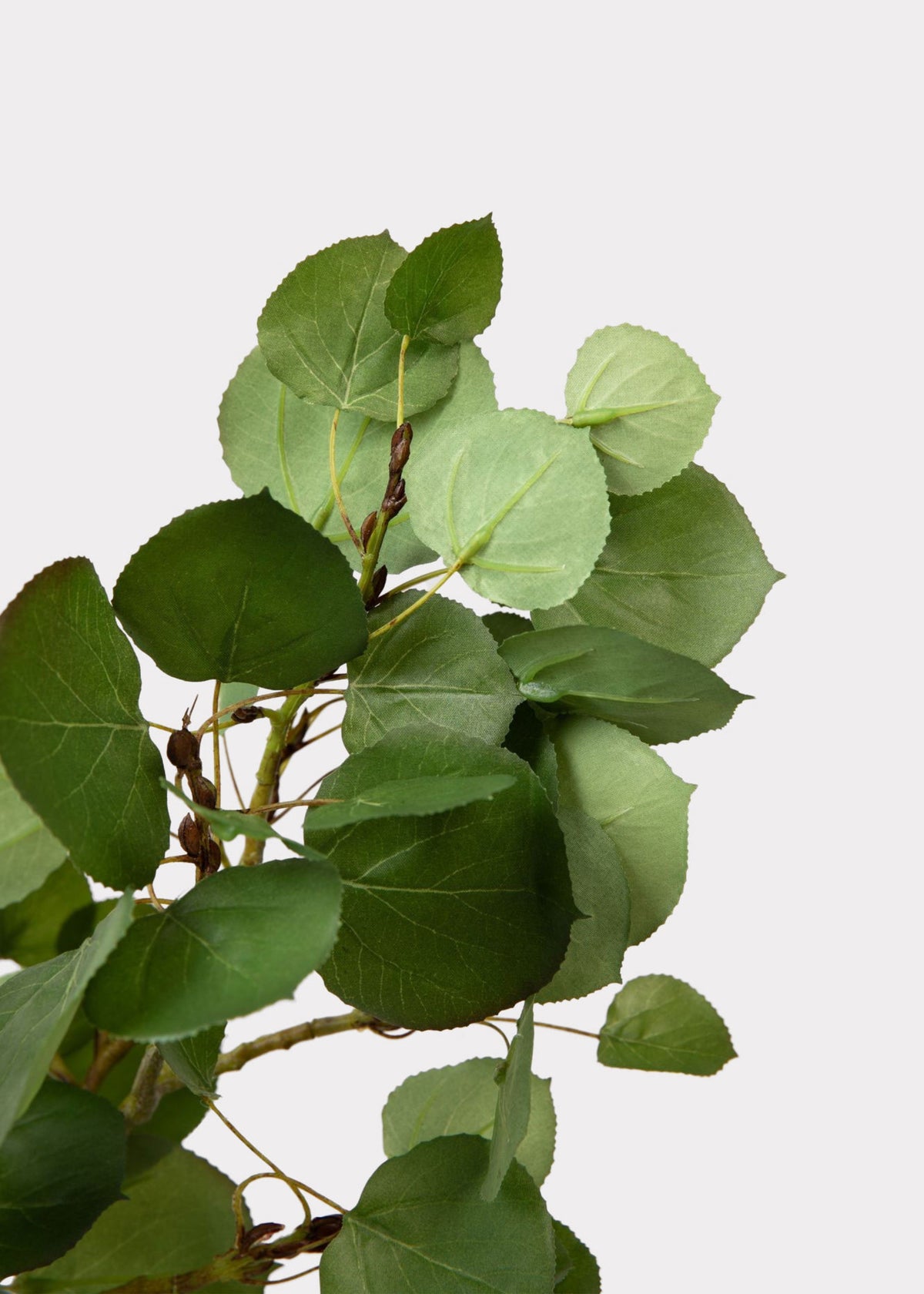 Premium Tall Artificial Aspen Branch - 51"