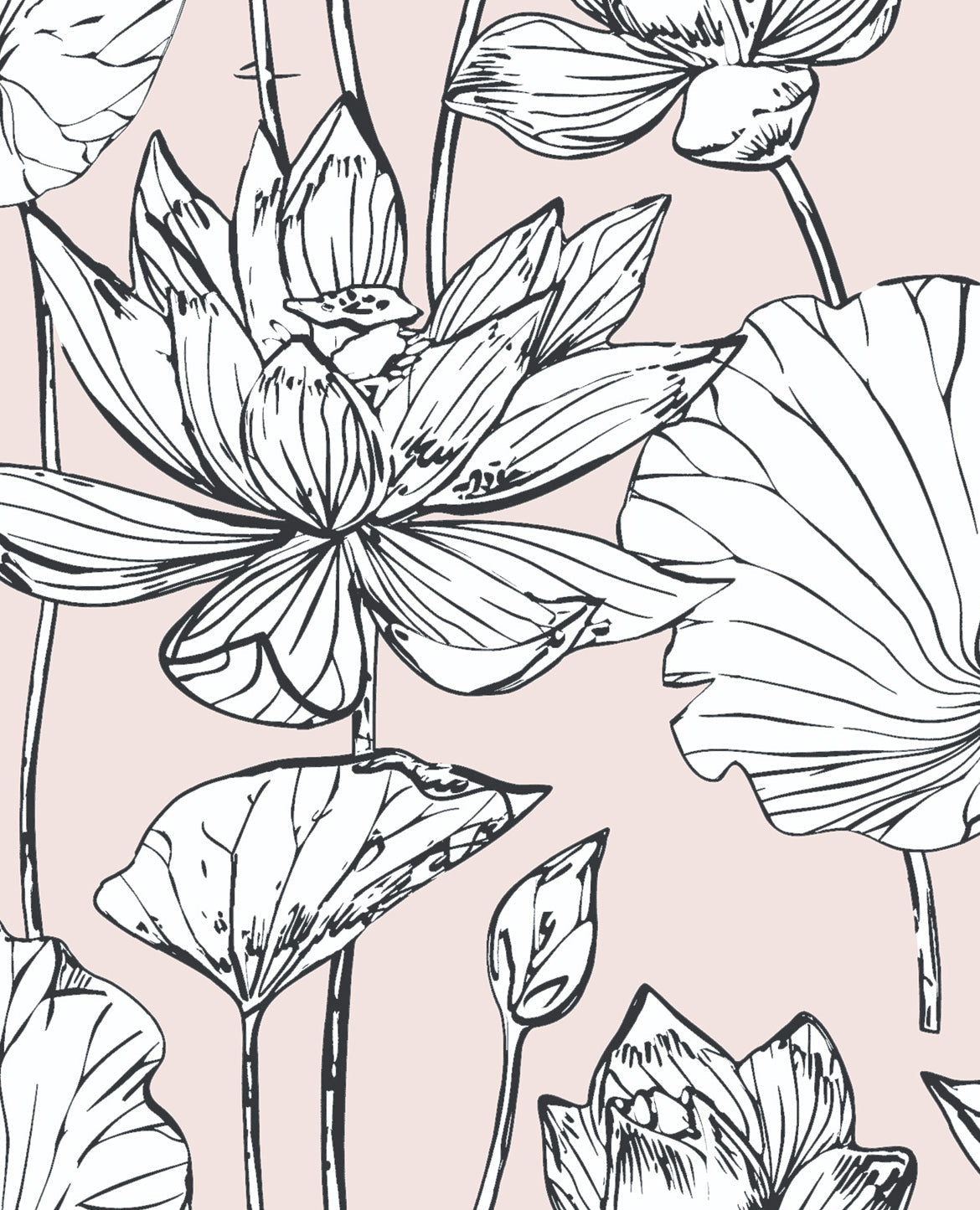 Lotus Floral Peel and Stick Removable Wallpaper