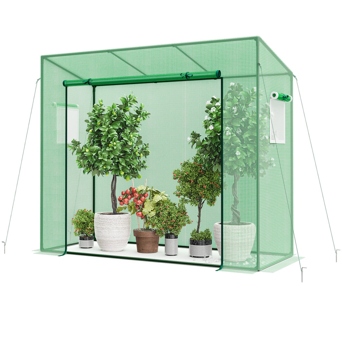 Outdoor Portable Walk-in Greenhouse with Roll-up Zipper Door