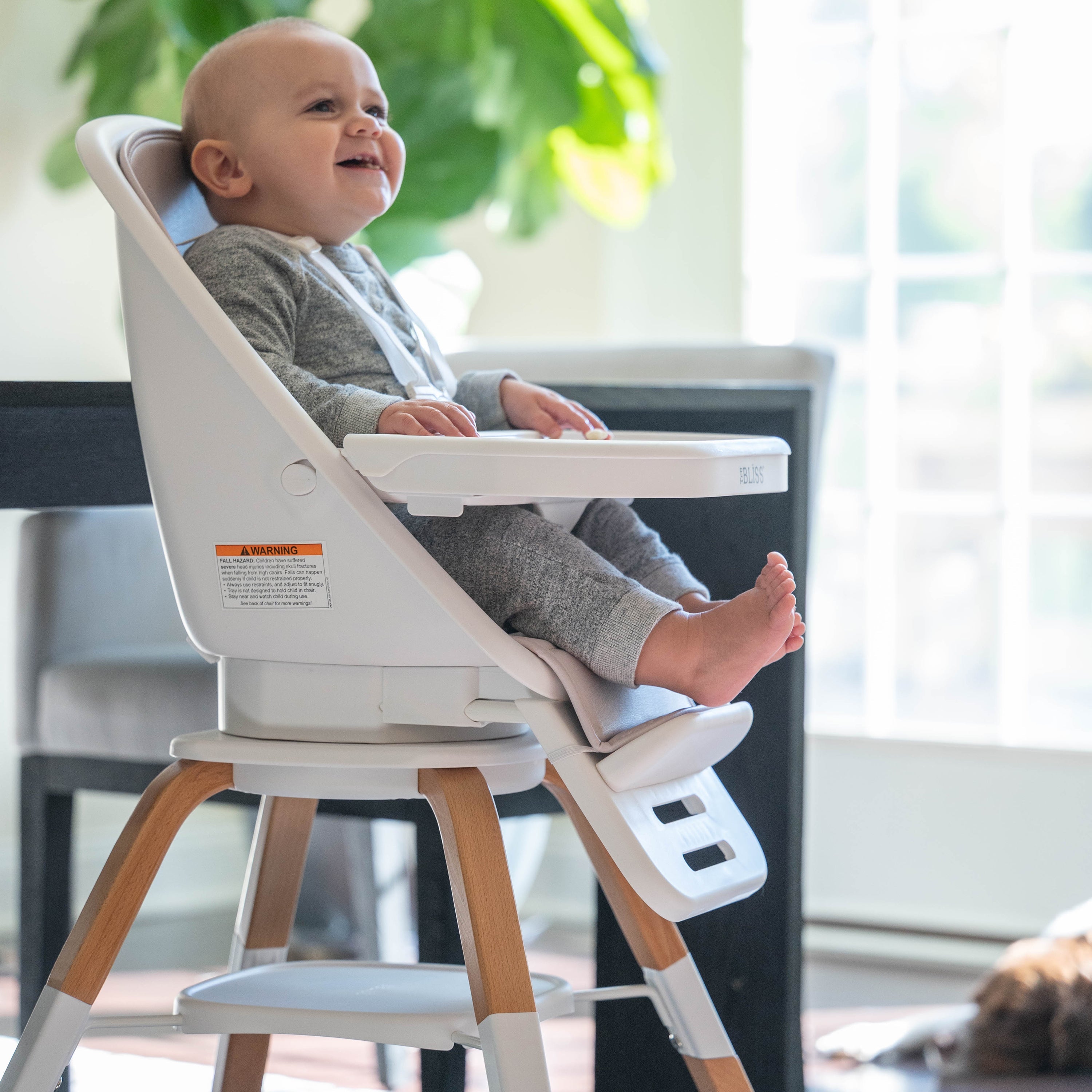 TruBliss® 2-in-1 Turn-A-Tot Highchair with 360° swivel