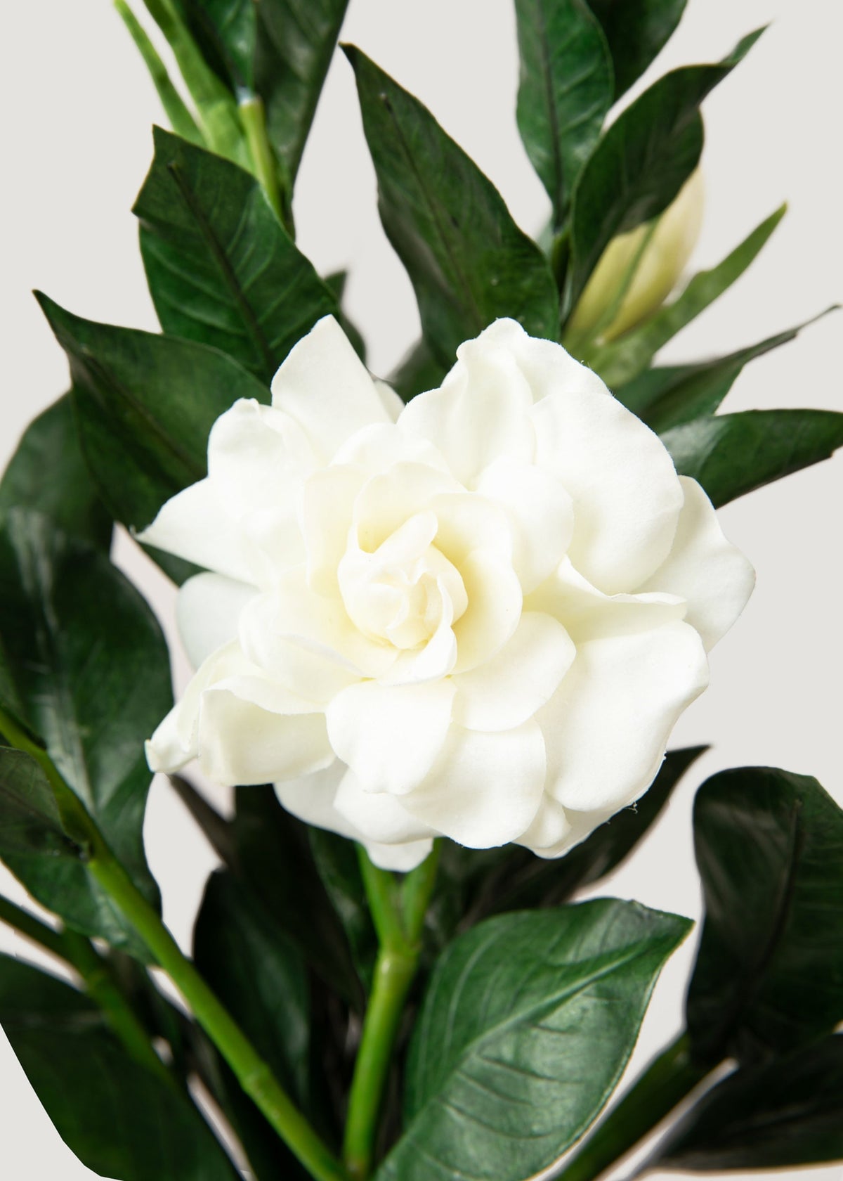 Premium Artificial Gardenia Flower Branch- 19"