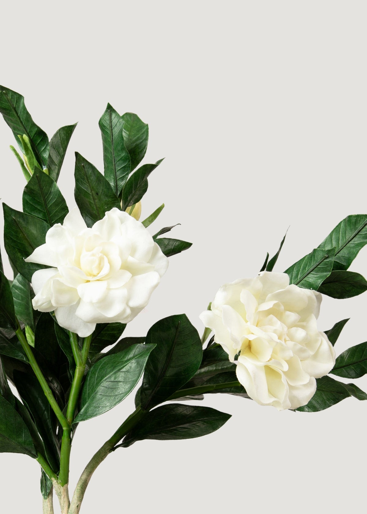 Premium Artificial Gardenia Flower Branch- 19"