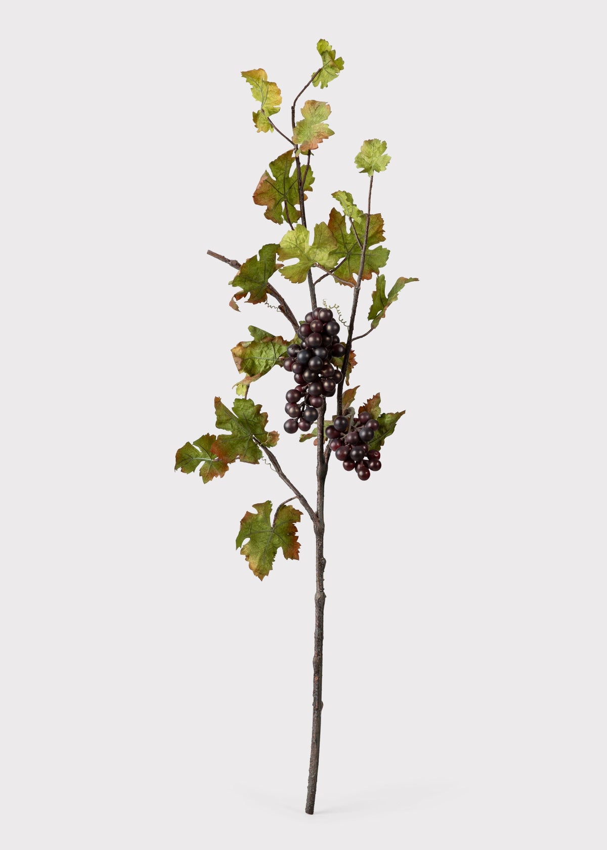 Deluxe Artificial Grape Branch with Leaves - 43"