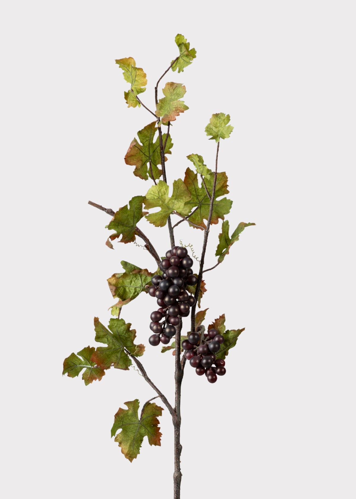 Deluxe Artificial Grape Branch with Leaves - 43"