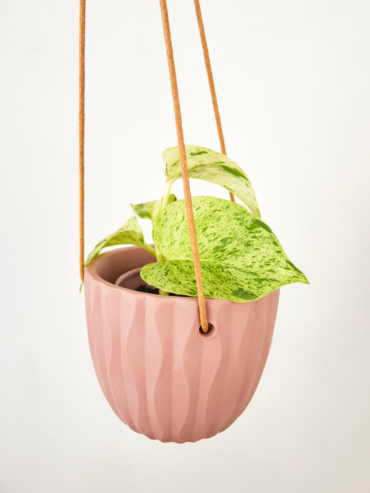 Virago Modern Hanging Planter - Waves