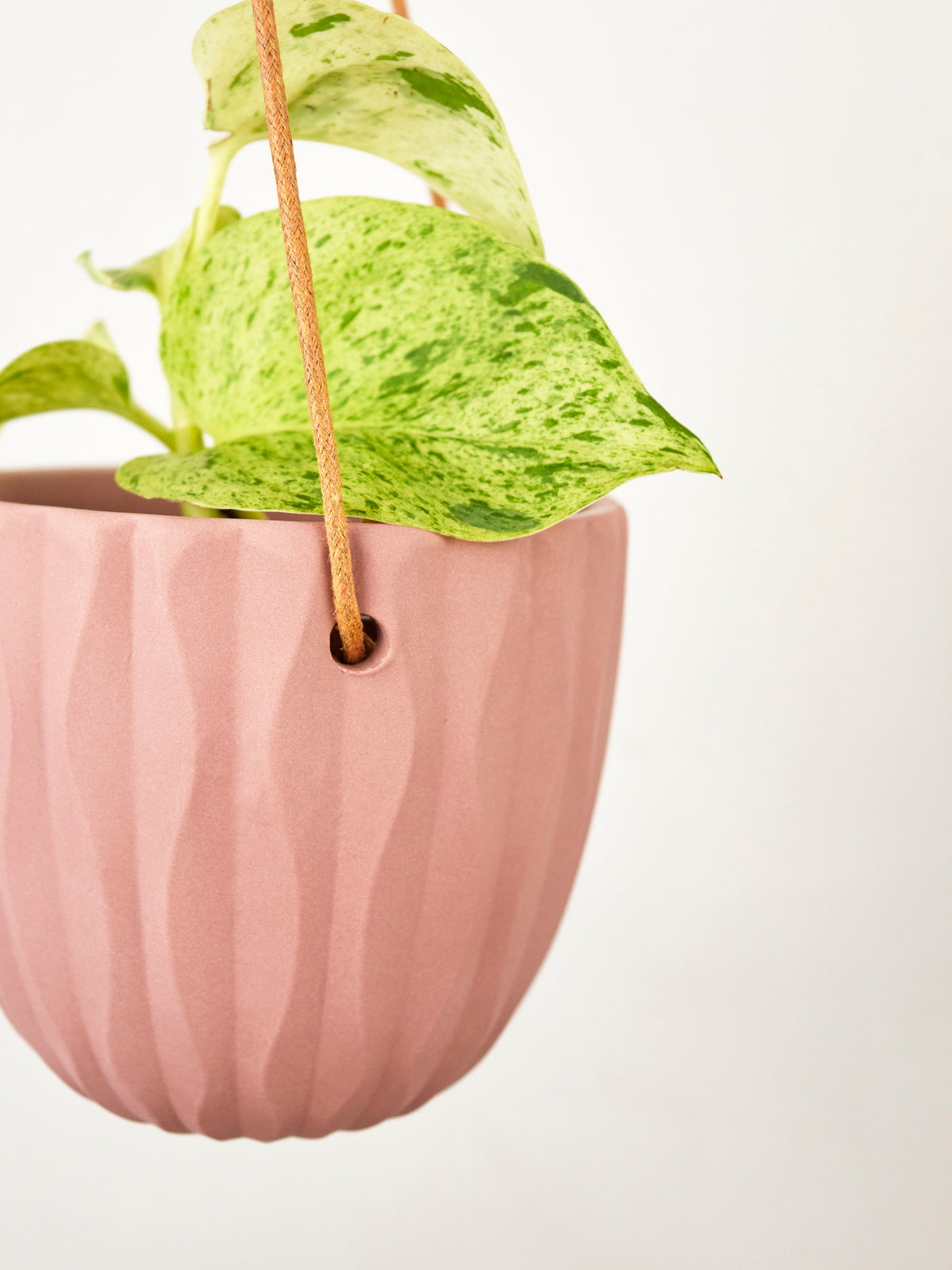 Virago Modern Hanging Planter - Waves