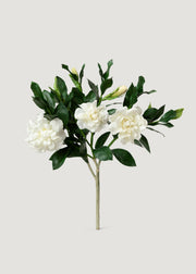 Premium Artificial Gardenia Flower Branch- 19"