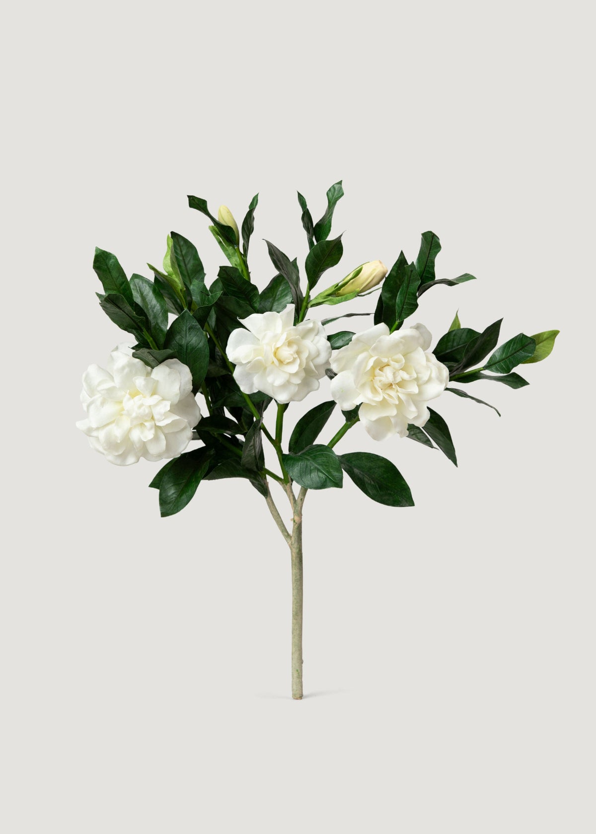 Premium Artificial Gardenia Flower Branch- 19"