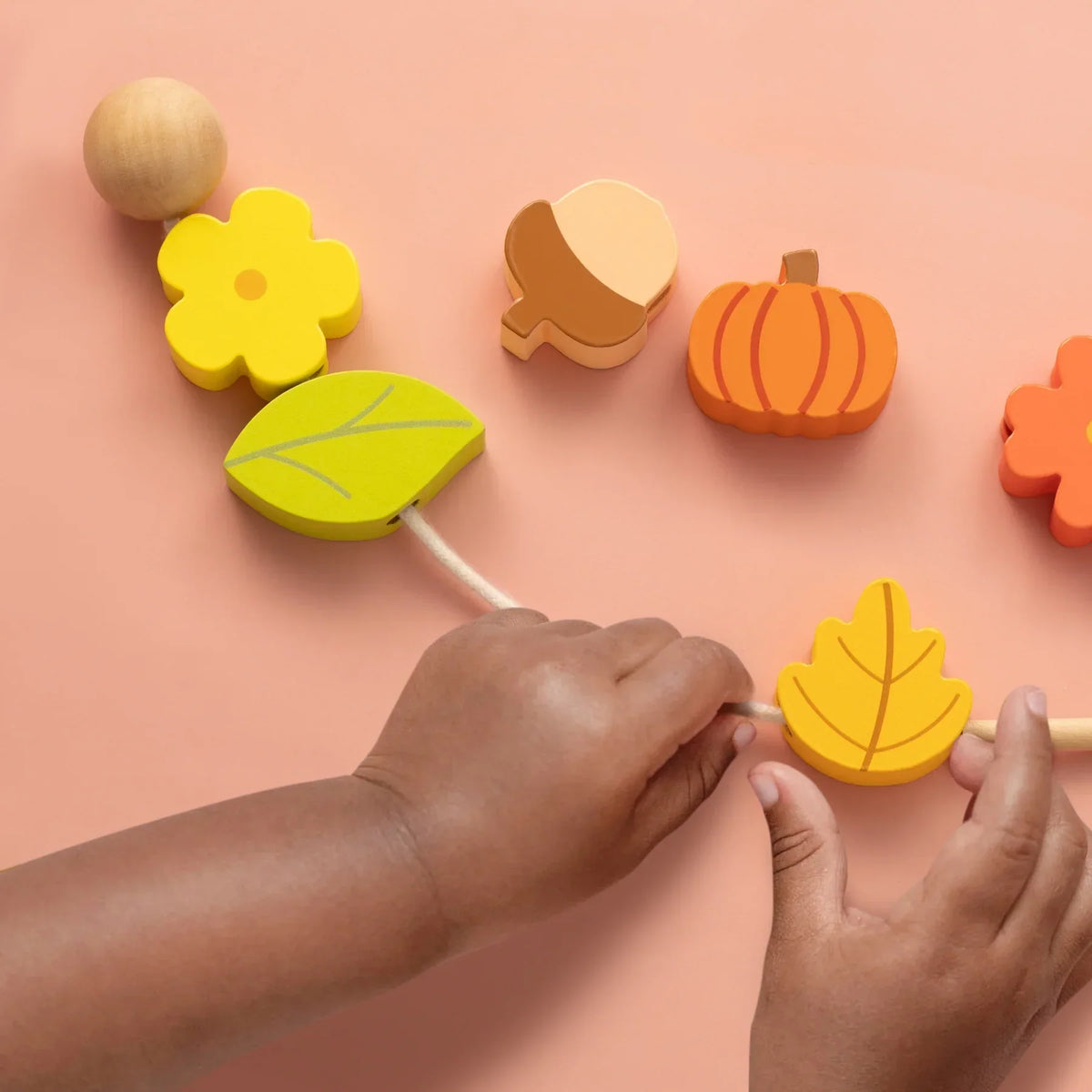 Tiny Land® Montessori Toys for Toddlers (18–24 Months) – Toys for 2 Year Olds