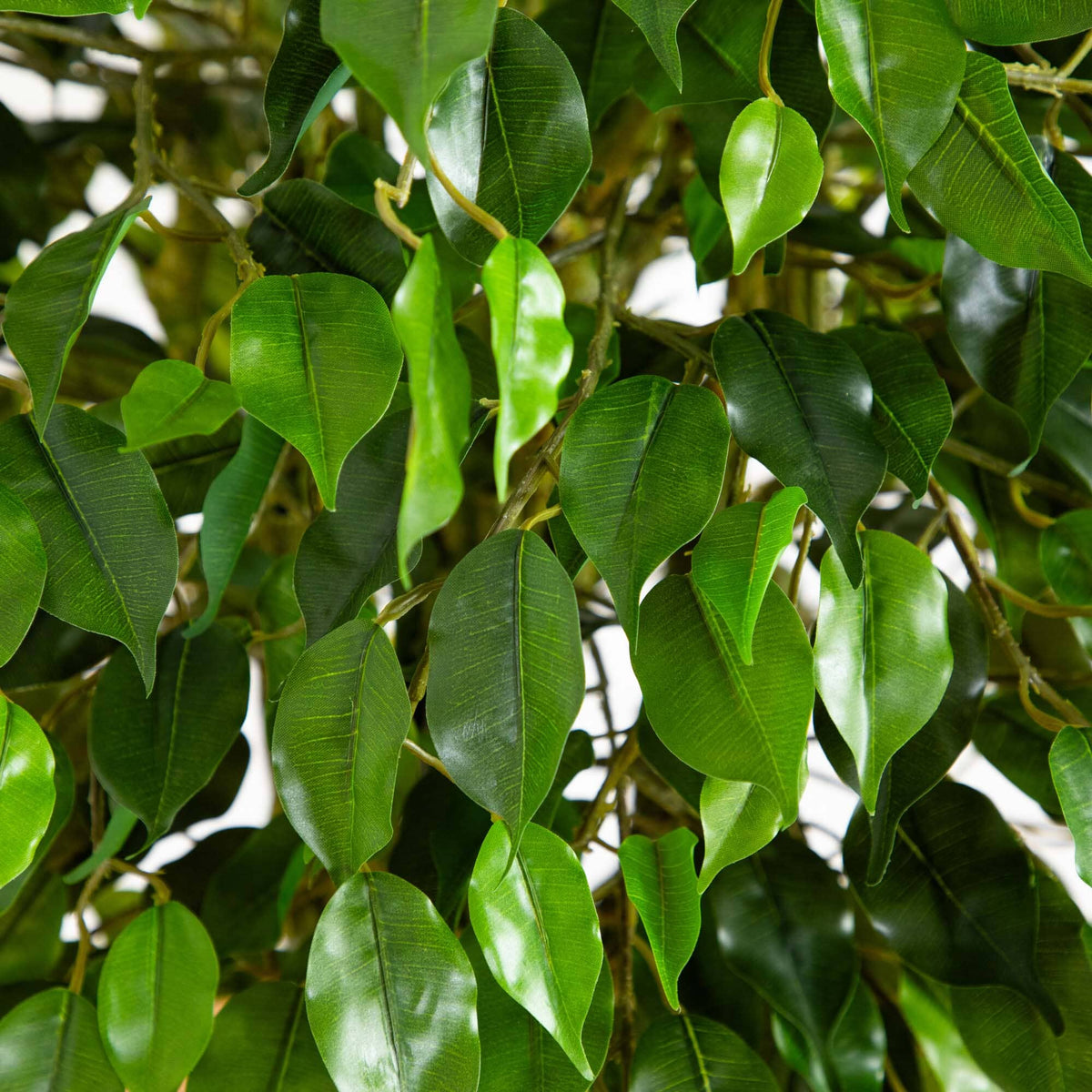 5' Ficus Artificial Tree with Woven Trunk UV Resistant
