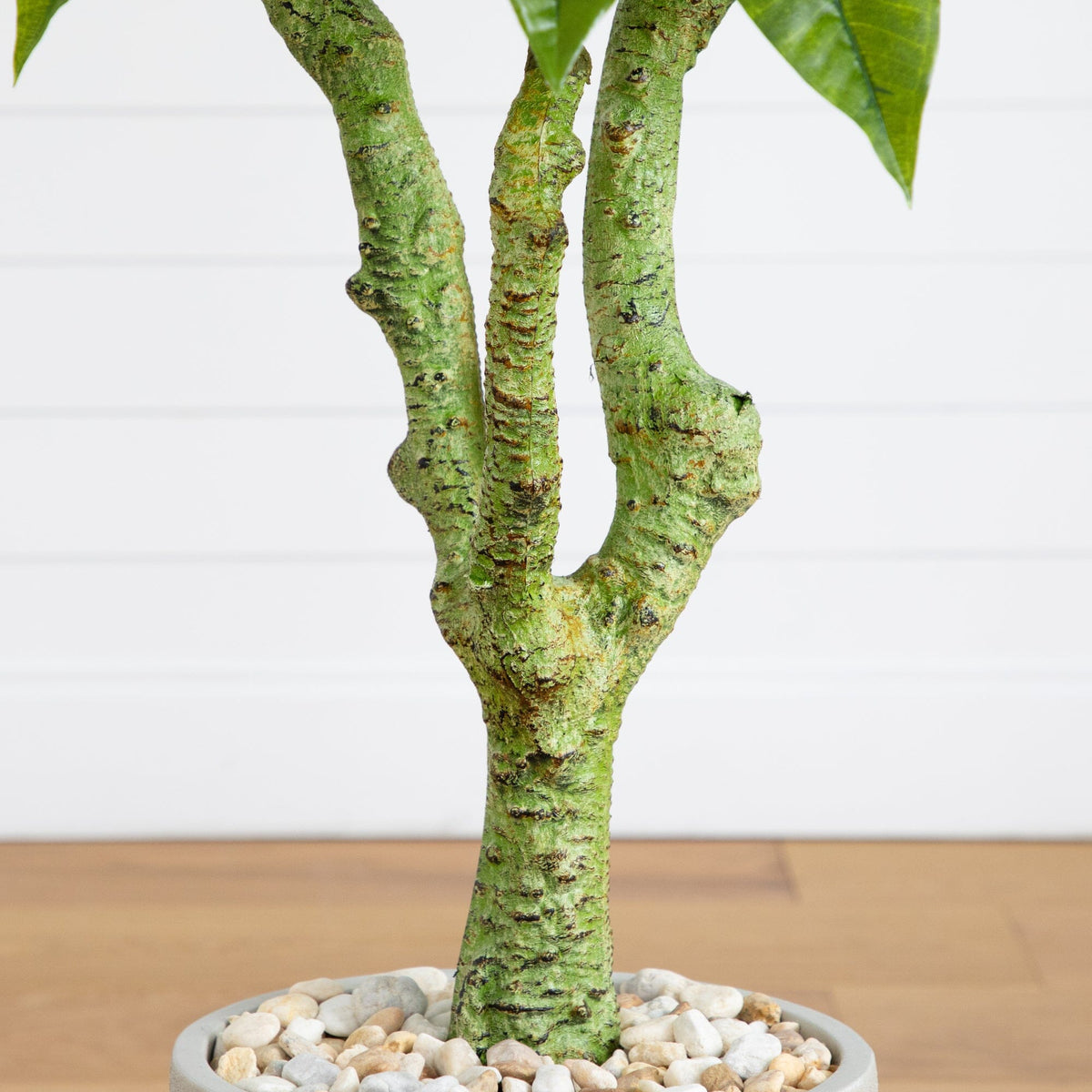 5’ Plumeria Artificial Tree in Decorative Planter