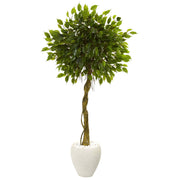5.5’ Ficus Artificial Tree in White Oval Planter