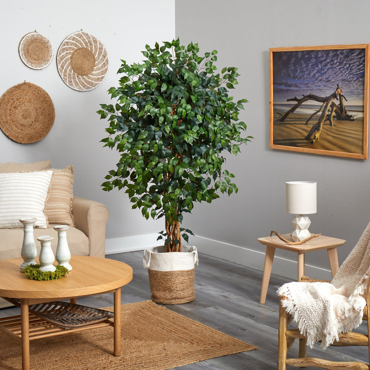5.5’ Palace Ficus Artificial Tree with in Planter