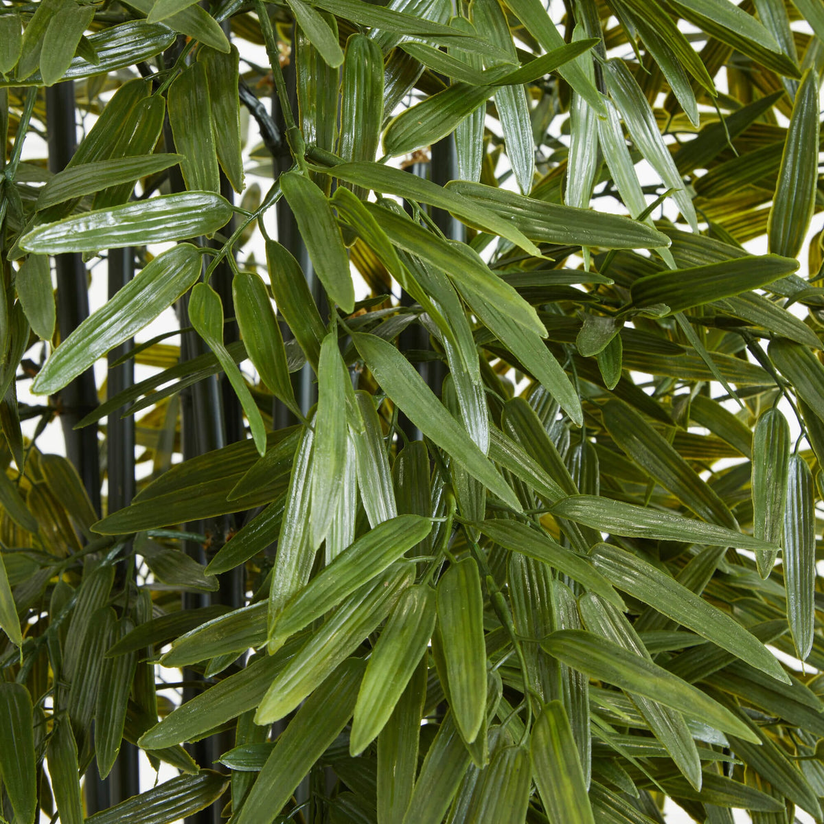 6’ Bamboo Artificial Tree with Black Trunks in Planter