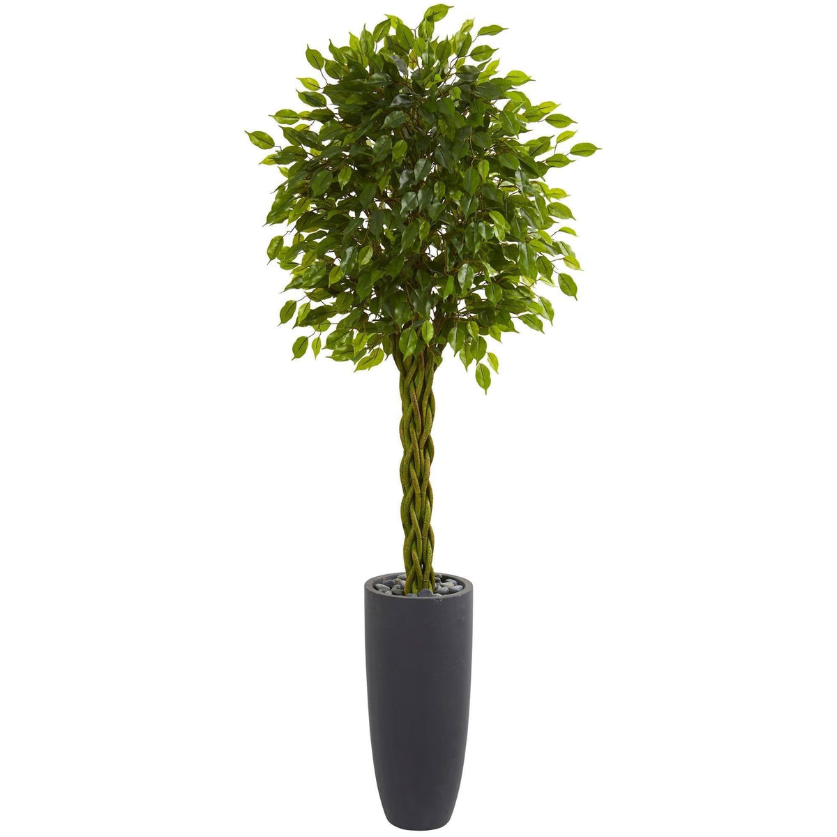 6.5’ Braided Ficus Artificial Tree in Cylinder Planter