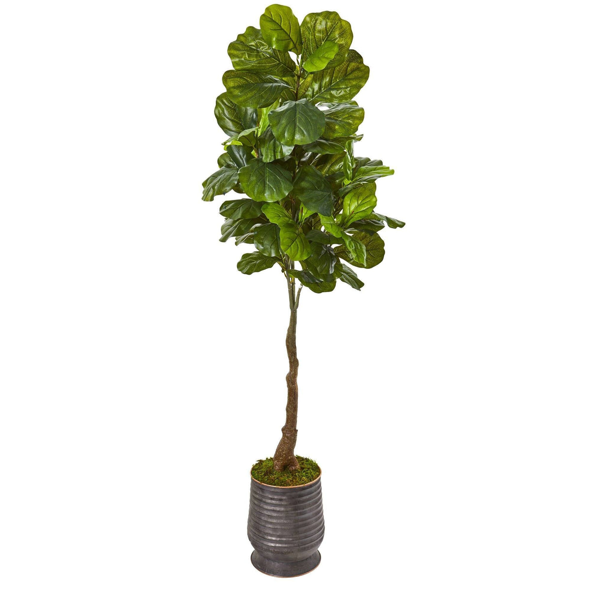 69” Fiddle Leaf Artificial Tree in Ribbed Metal Planter