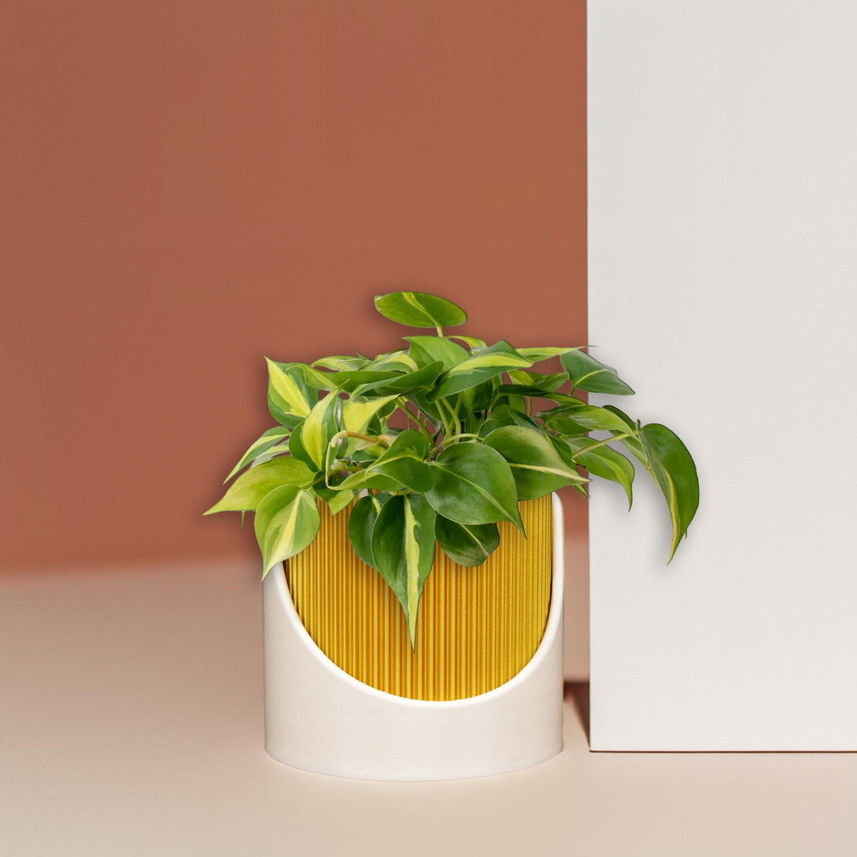 4 Inch Self Watering Planter, Modern Ribbed Design