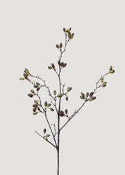 Fake Berries Tall Barberry Pod Branch - 37.75"