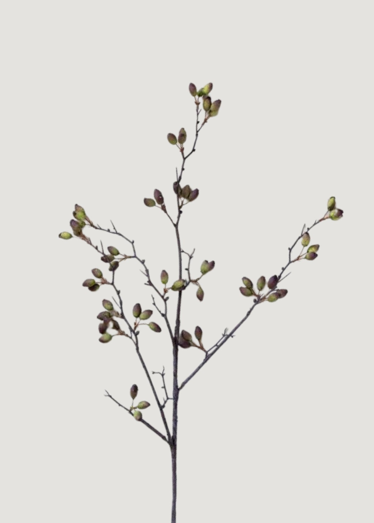 Fake Berries Tall Barberry Pod Branch - 37.75"