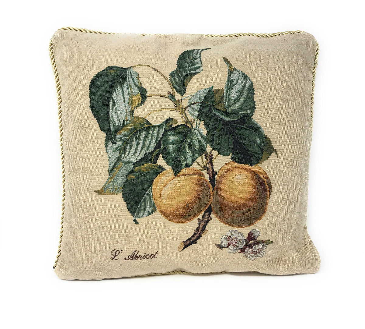 Set of 2 Yellow Apricot Fruits Throw Pillow Covers w/ Inserts