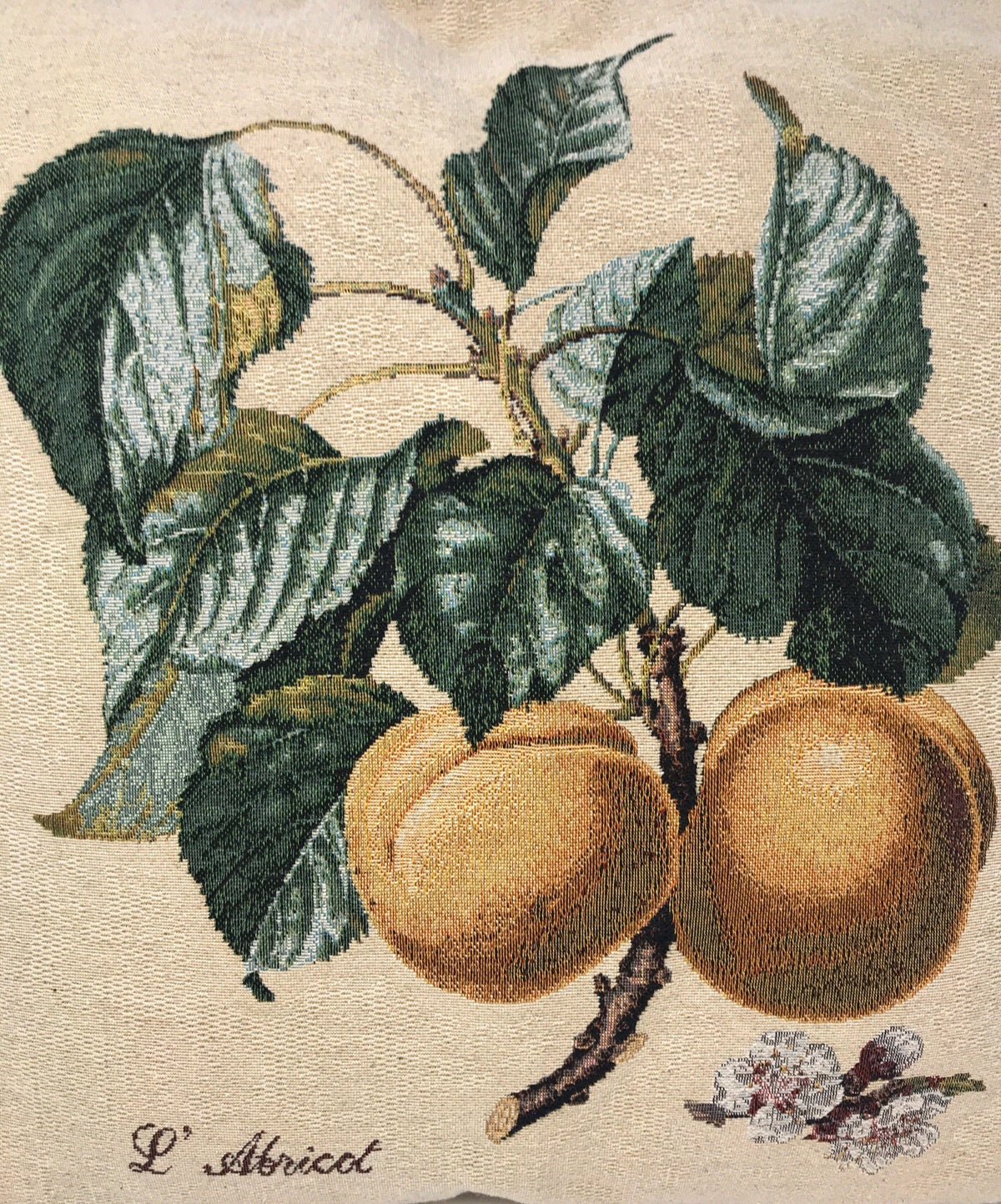 Set of 2 Yellow Apricot Fruits Throw Pillow Covers w/ Inserts