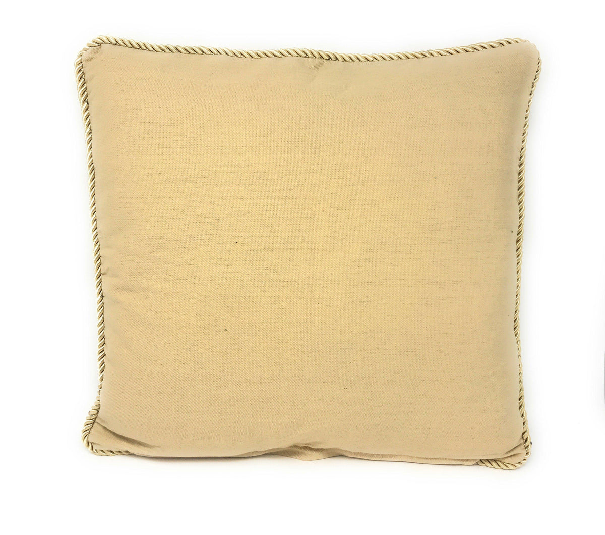 Set of 2 Yellow Apricot Fruits Throw Pillow Covers w/ Inserts